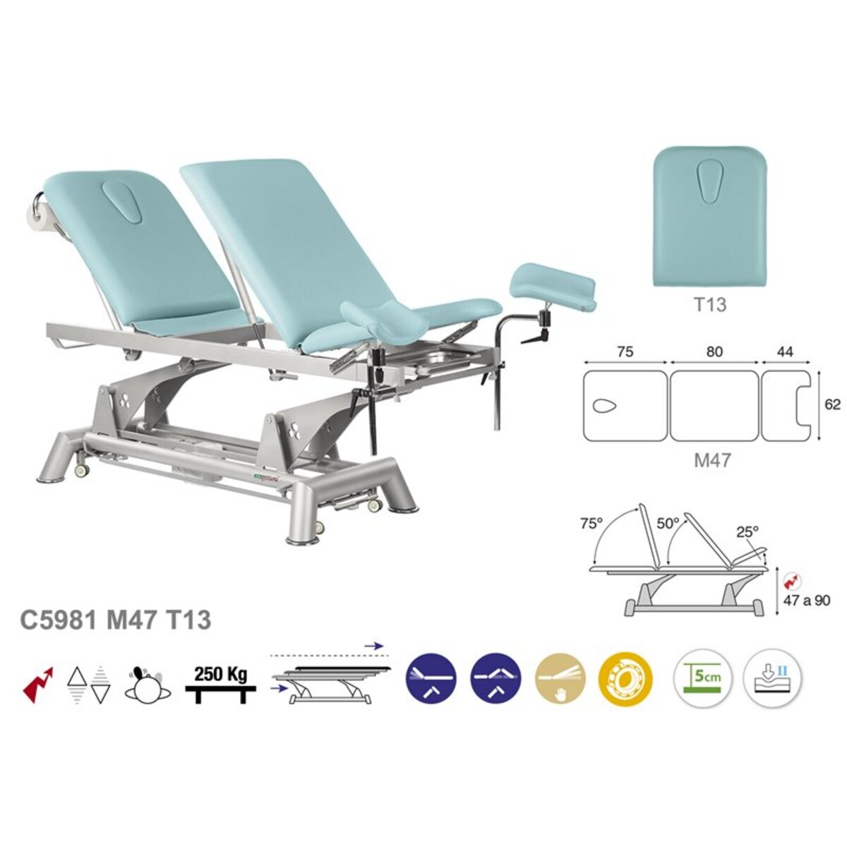 ASCC81 C5981C7981C5581C7581 Fauteuil gynecologique T13 62x200 serie C81 M03
