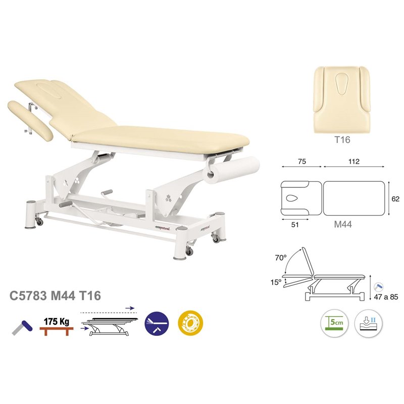 ASCC83 C5683C6983C5983 C5583 Table electrique  2 plans T16 M05