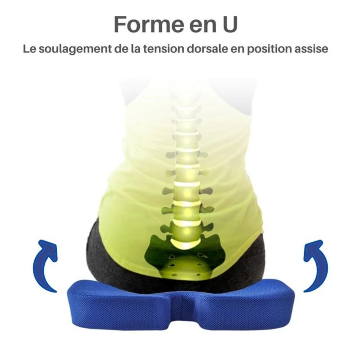 coussin d'assise M03