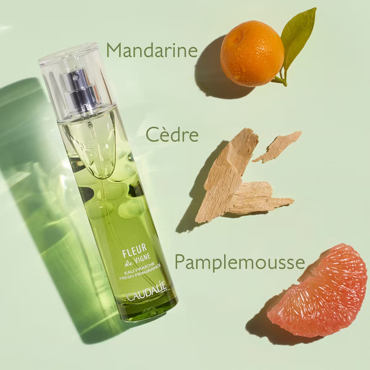 CAUDALIE EAU FRAICHE FLEUR DE VIGNE SPRAY 50ML M04