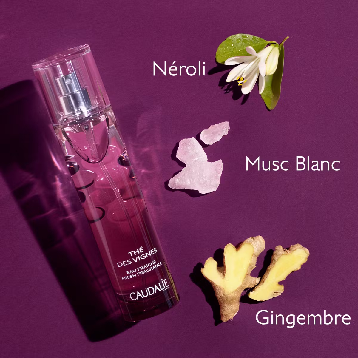 CAUDALIE Eau Fraîche Thé des Vignes 100ml M04