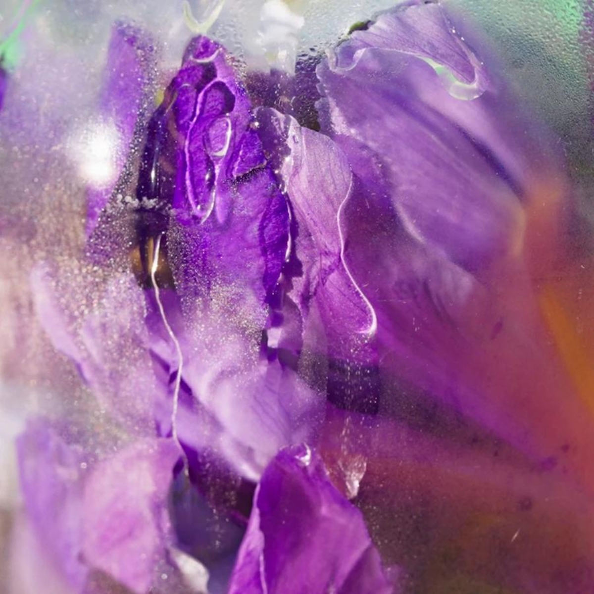 ROGER&GALLET Eau Parfumée Bienfaisante 100 ml FEUILLE DE THÉ M03