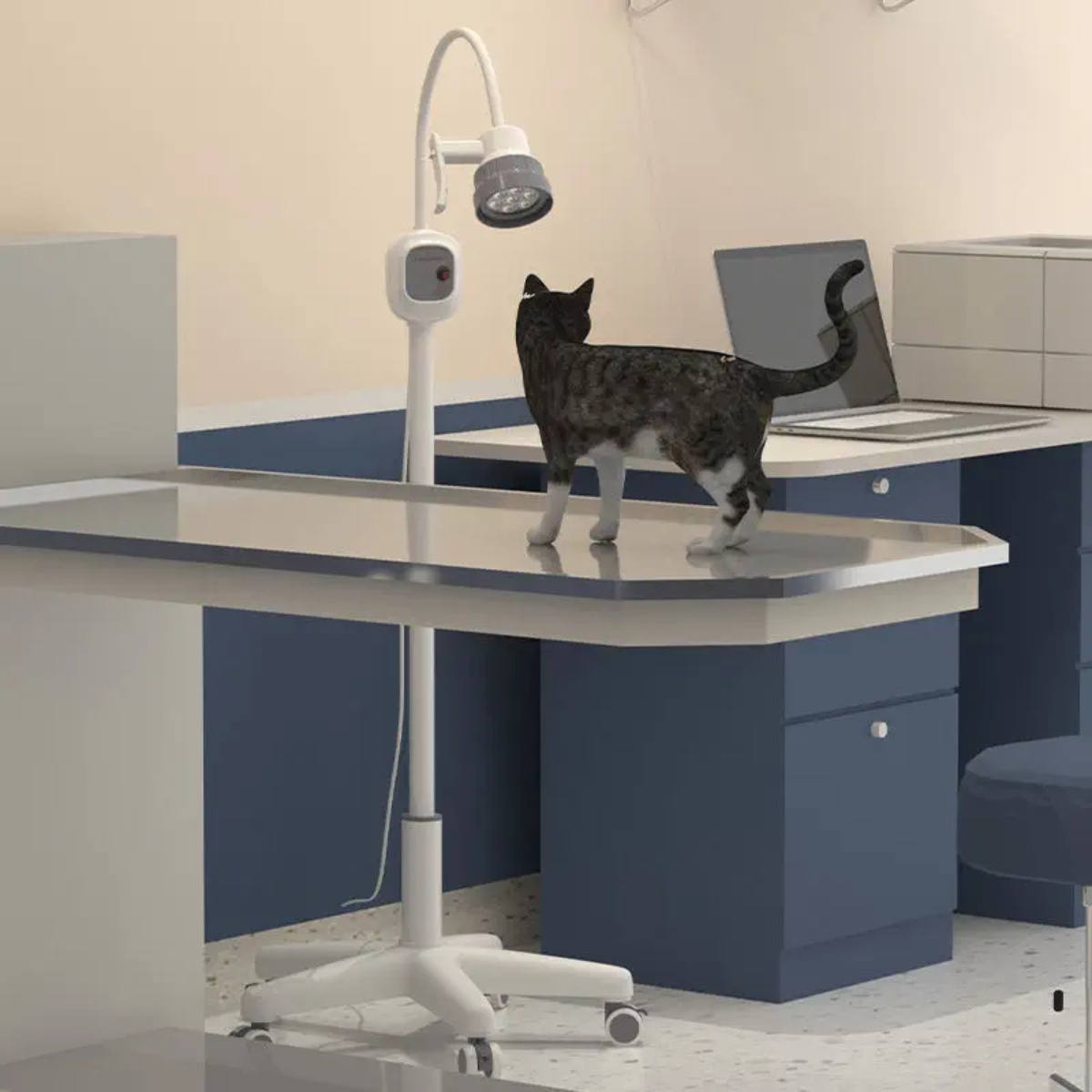 Lampe d'examen Eclarion 7 M04