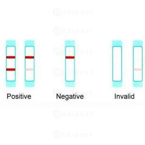 Test de grossesse Ultimed M02
