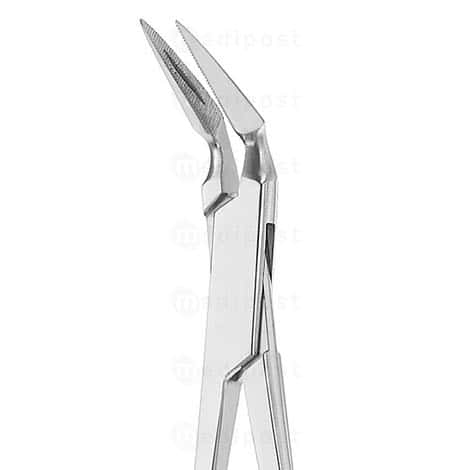 Pince a echardes STIEGLITZ courbe 13cm M02