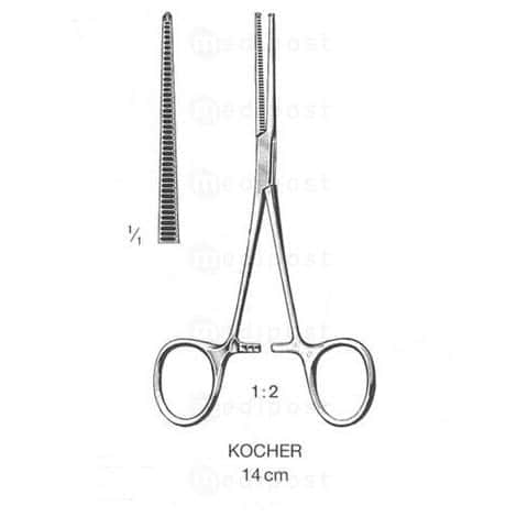 Pince hémostatique Kocher droite qualité courante