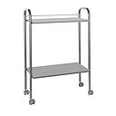 Ecopostural 2-delige instrument trolley in grijs metaal en hout