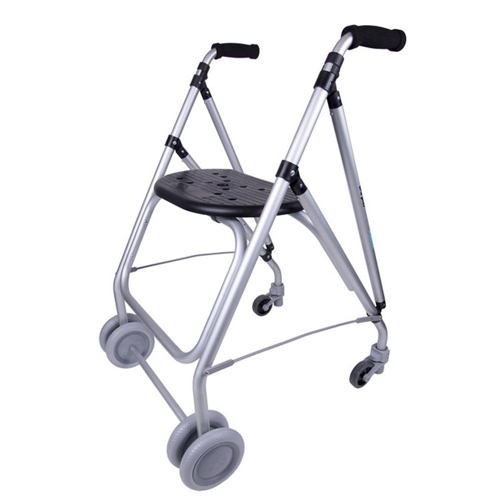 Cadre de marche Forta Ara-C Plus - 2 roues